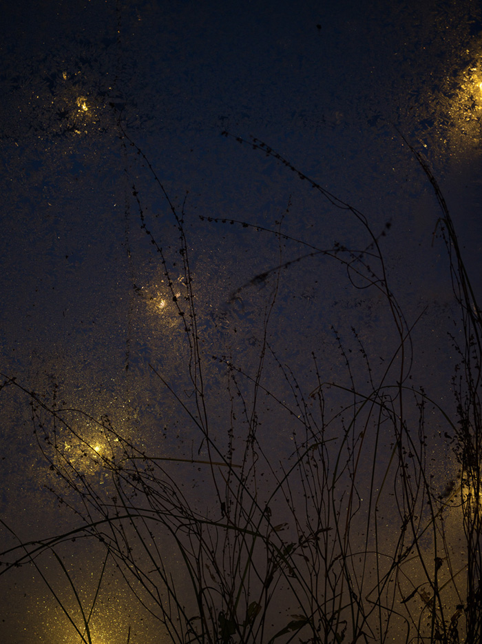 Lilla Ordbruket Nina Frydenlund Light in the dark